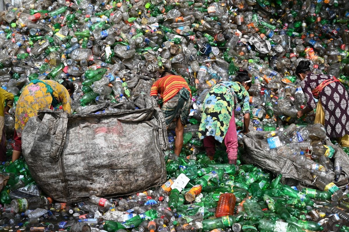 Recycling Process Improvement in practice — Shared Planet Ltd waste reduction consultancy
